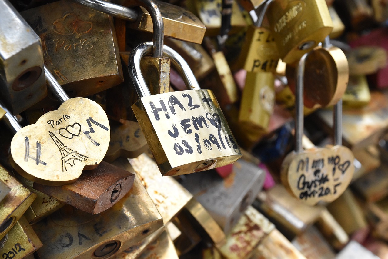 paris france love locks free photo