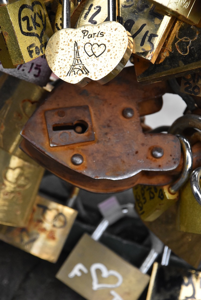 paris france love locks free photo