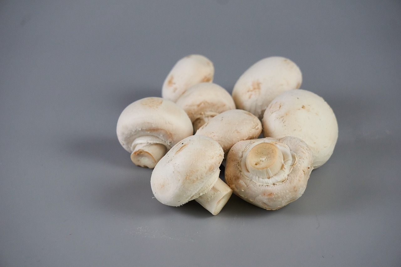 paris mushrooms mycology edible mushrooms free photo