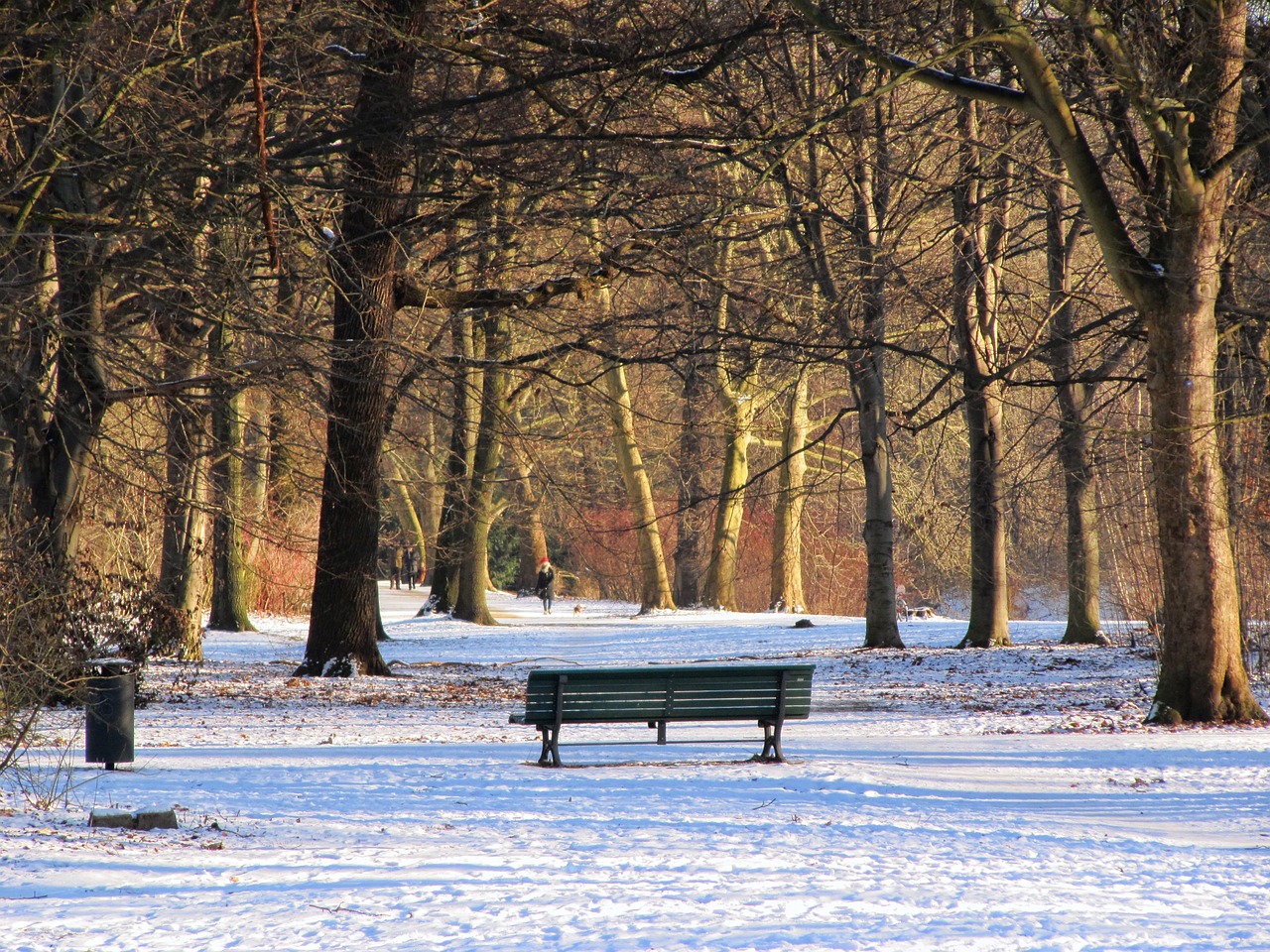 park winter tiergarten free photo