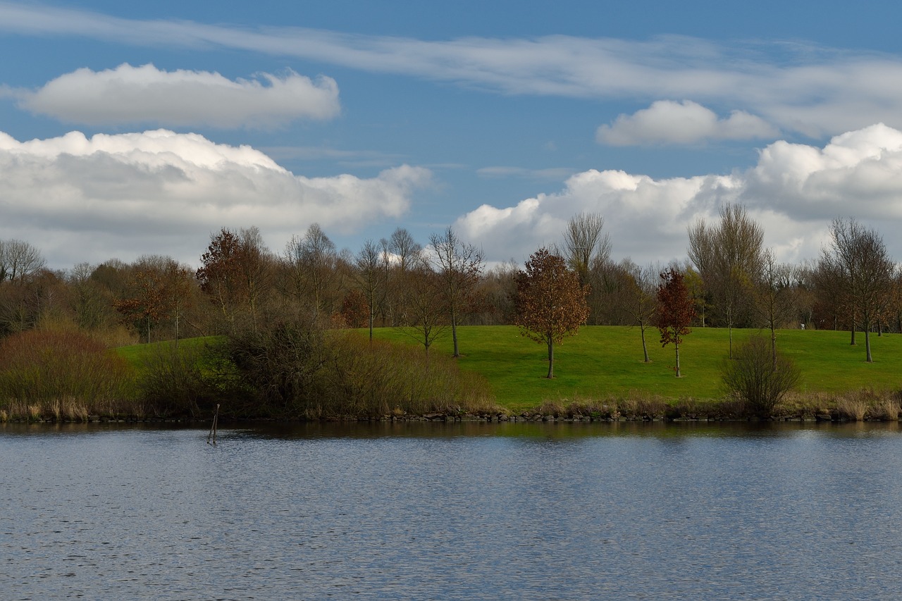 park craigavon lake beach free photo