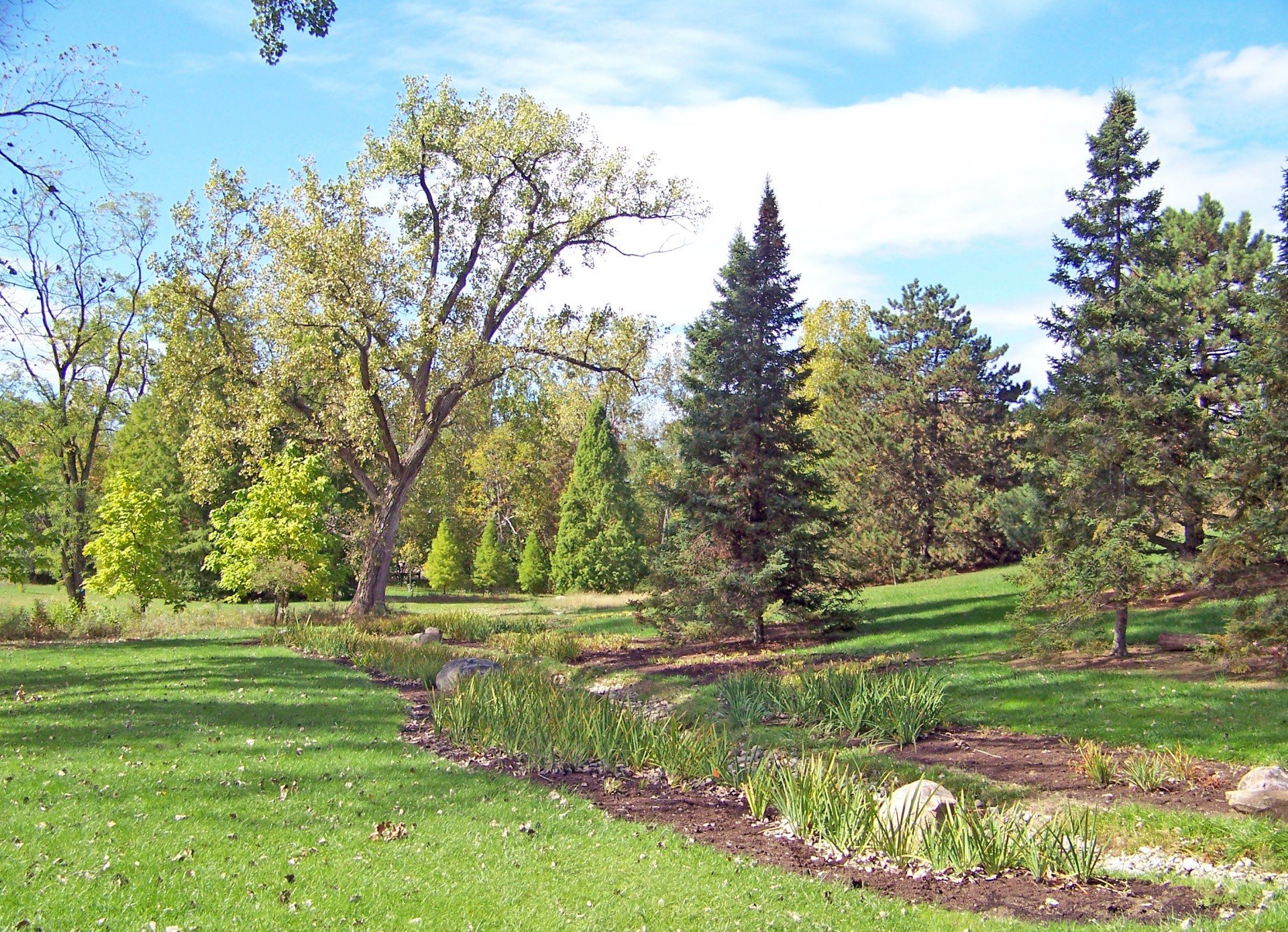 trees park summer free photo