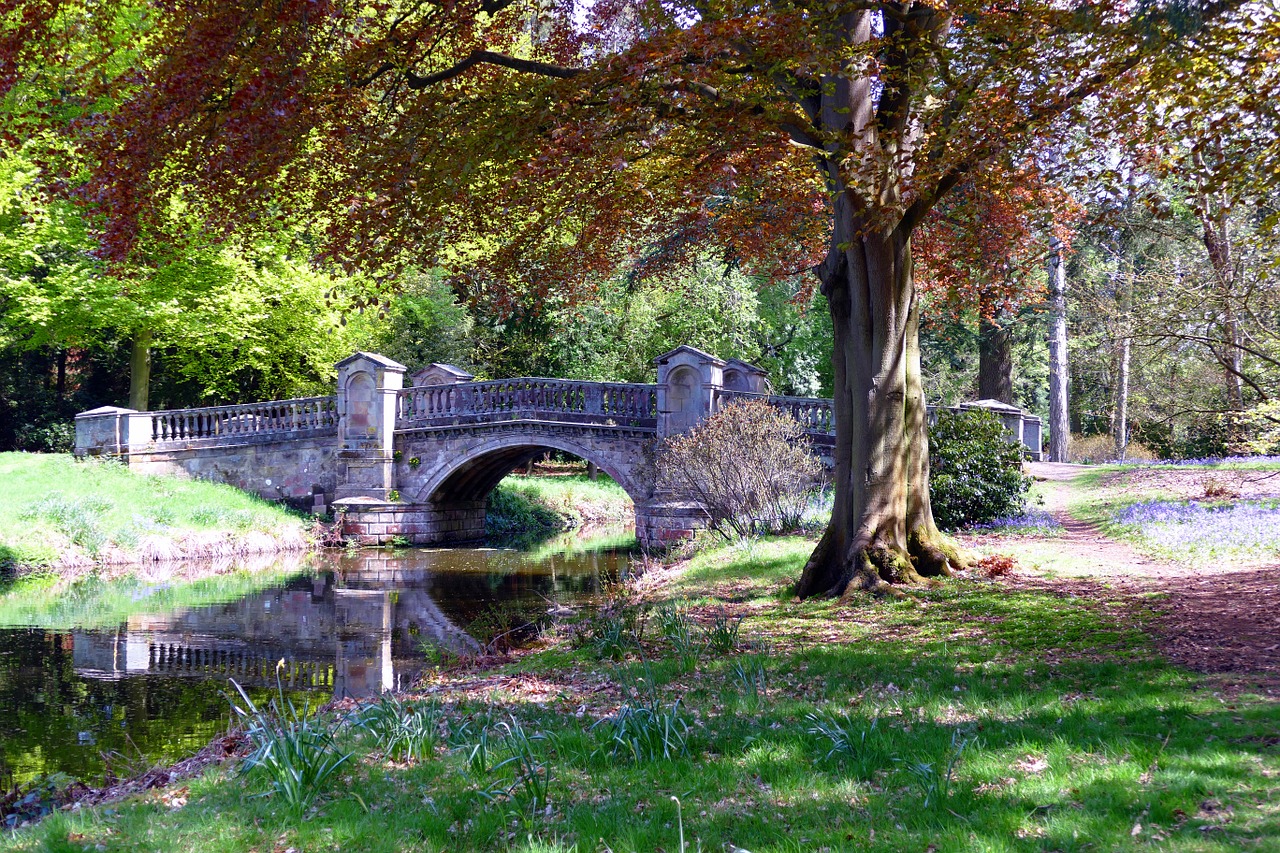 park bridge nature free photo