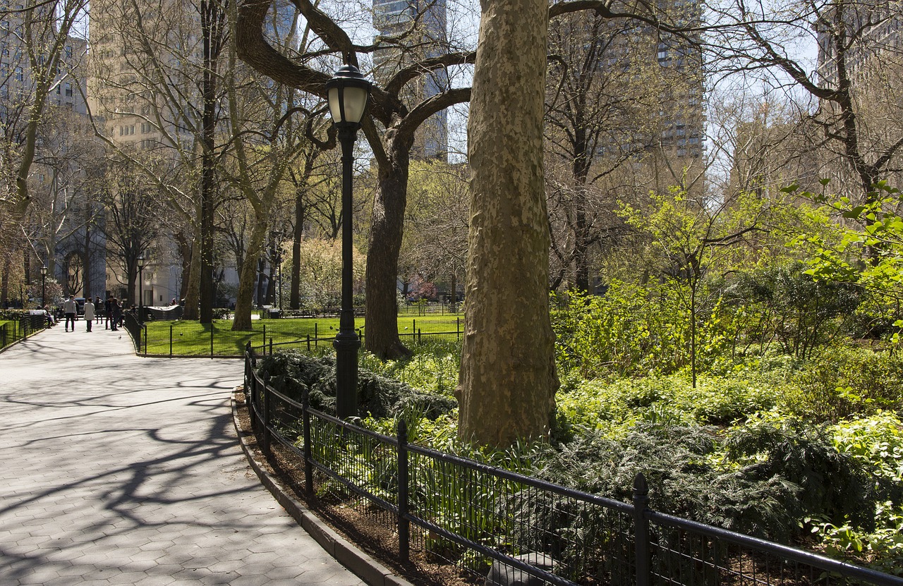 park new york city nyc free photo