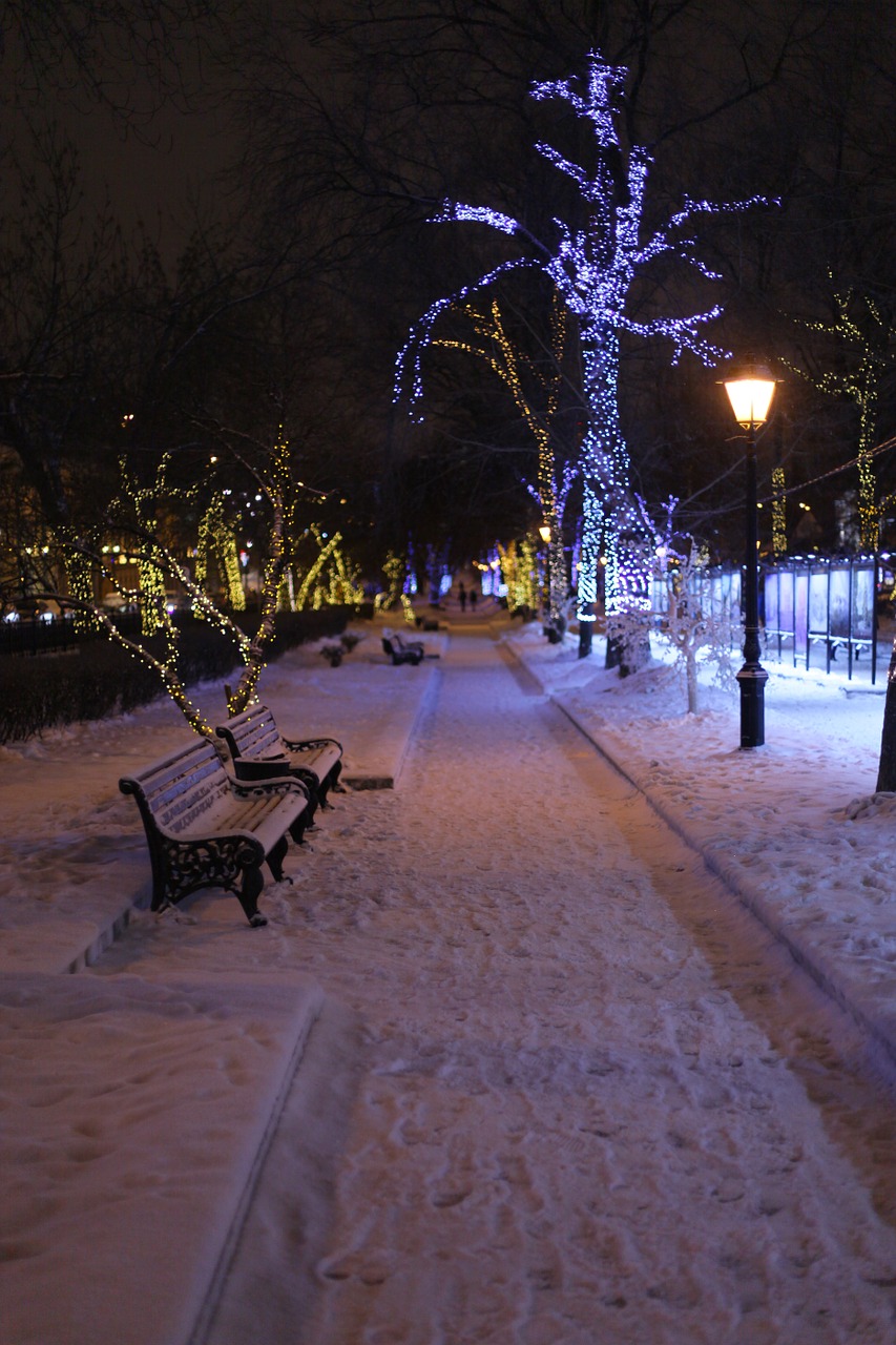 park winter benches free photo