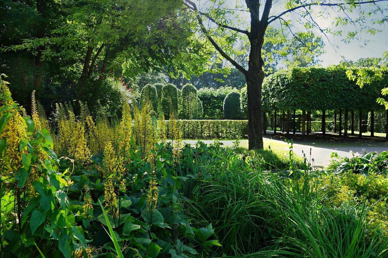 park design garden free photo