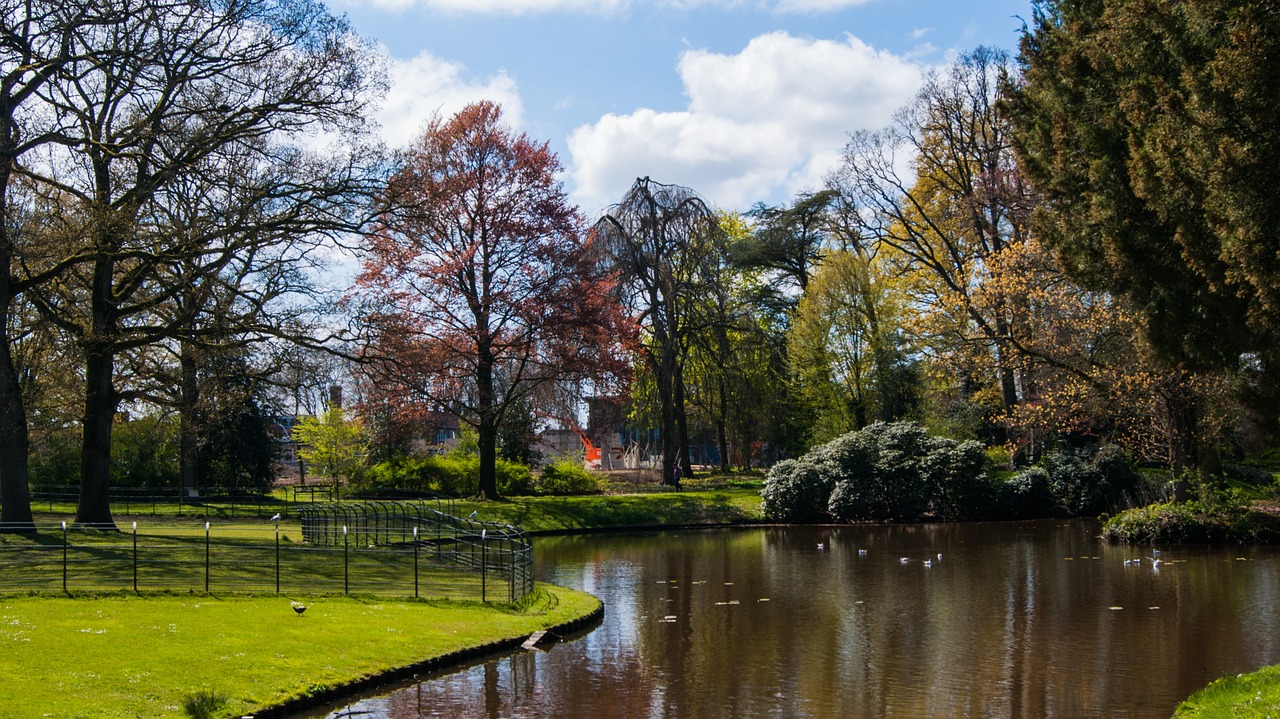 park water landscape free photo