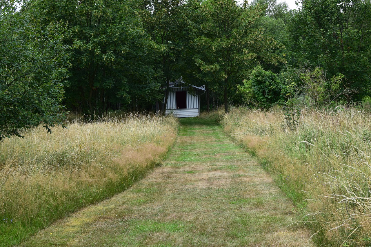 park away meadow free photo