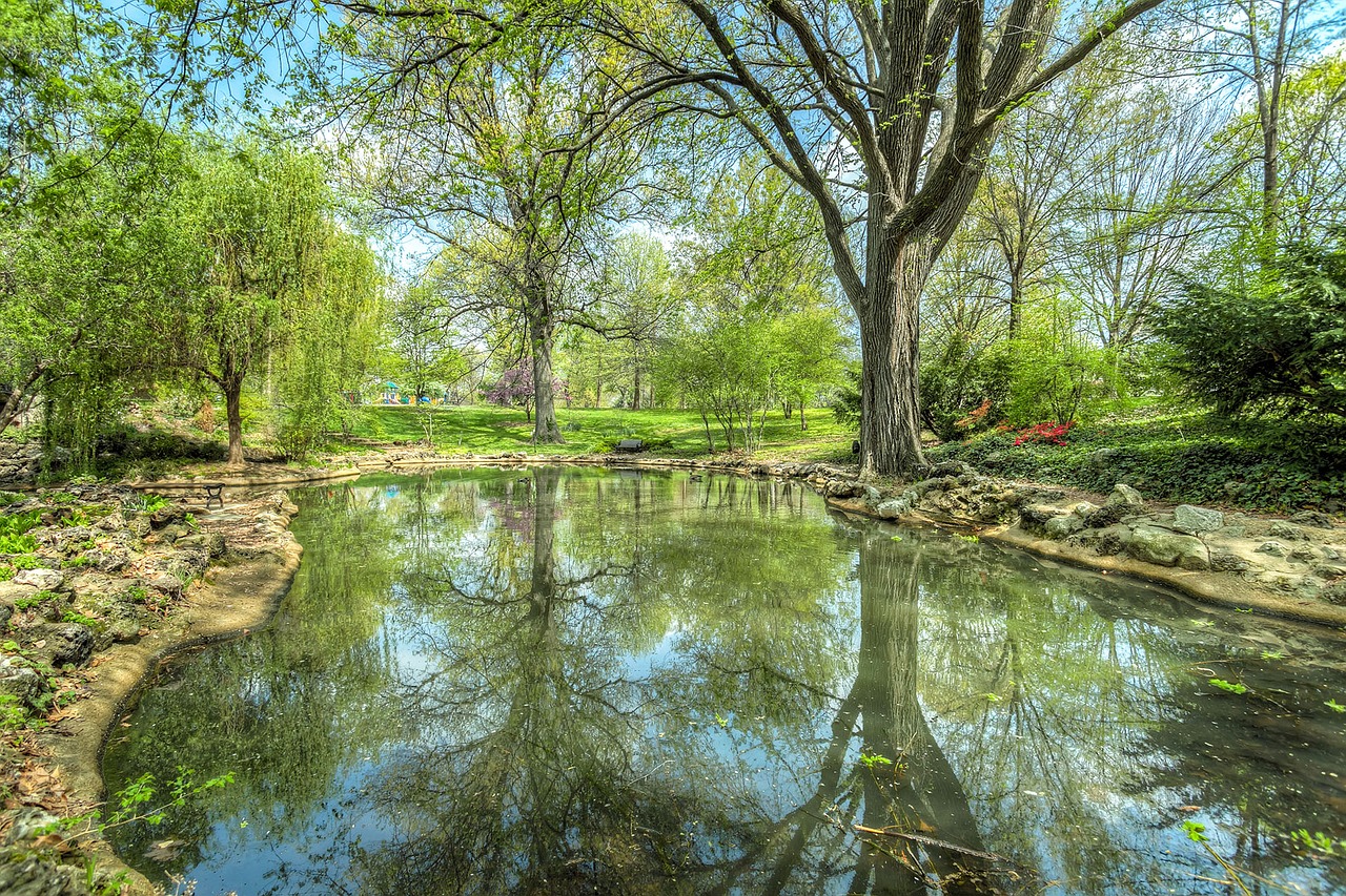 park pond reflection free photo