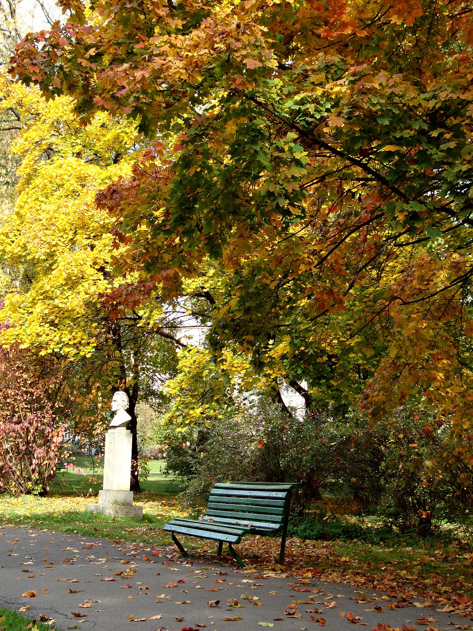 park autumn foliage free photo
