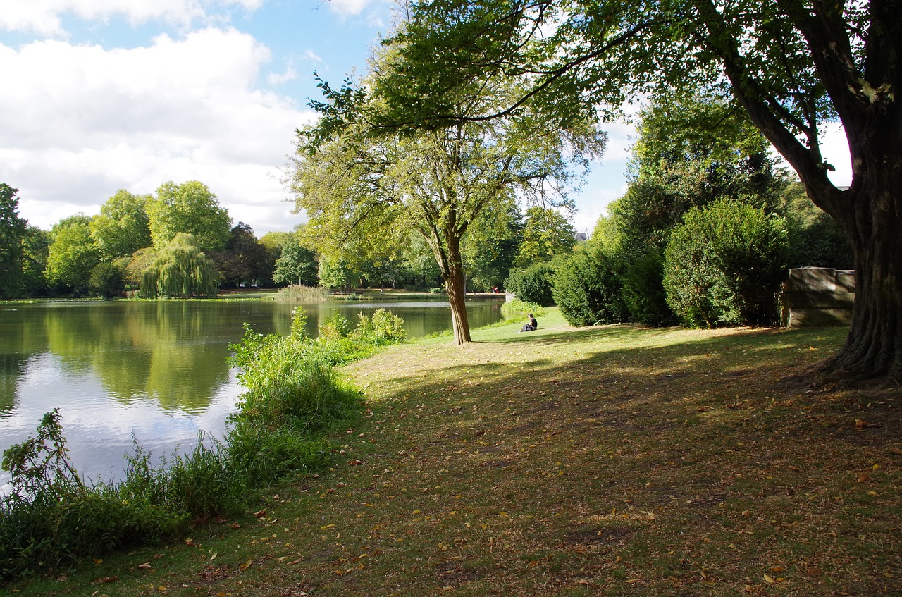 park pond nature free photo