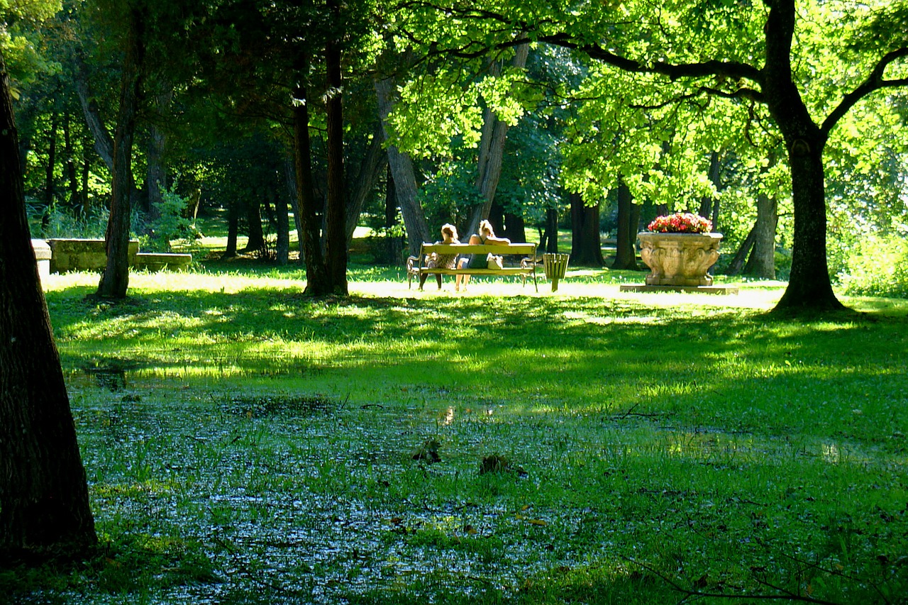 park pond water free photo