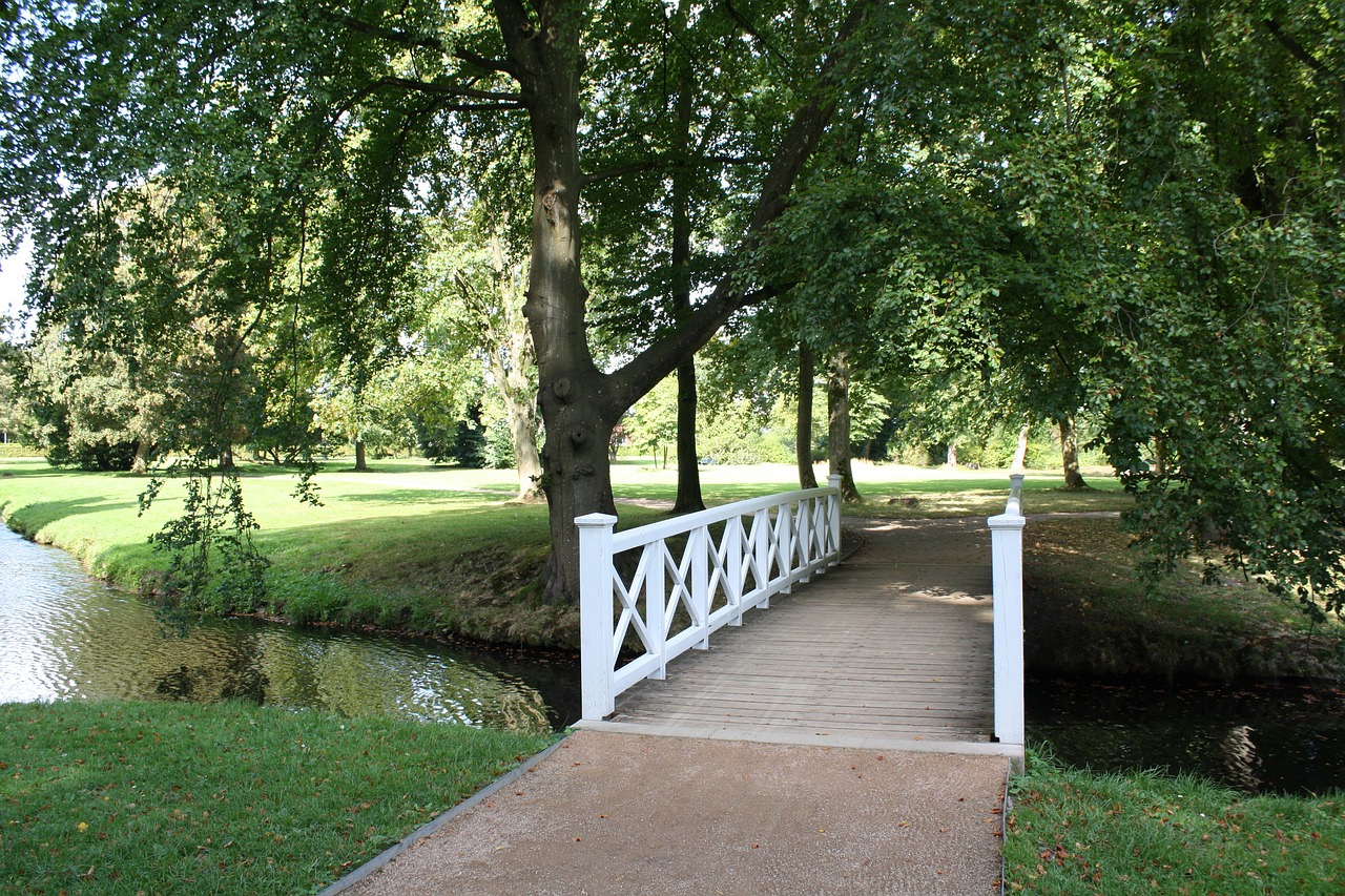 park bridge nature free photo