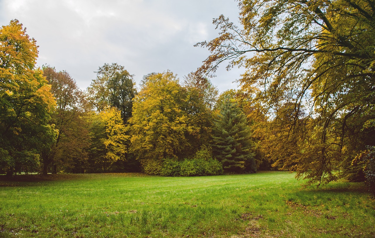 park autumn nature free photo