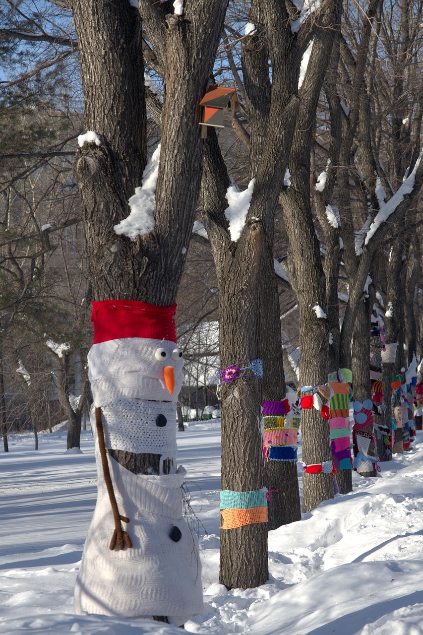 park snow winter free photo