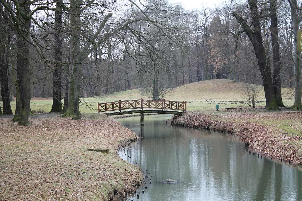 park water river free photo