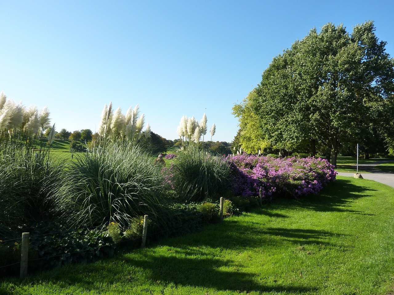 park bright colours flowers free photo