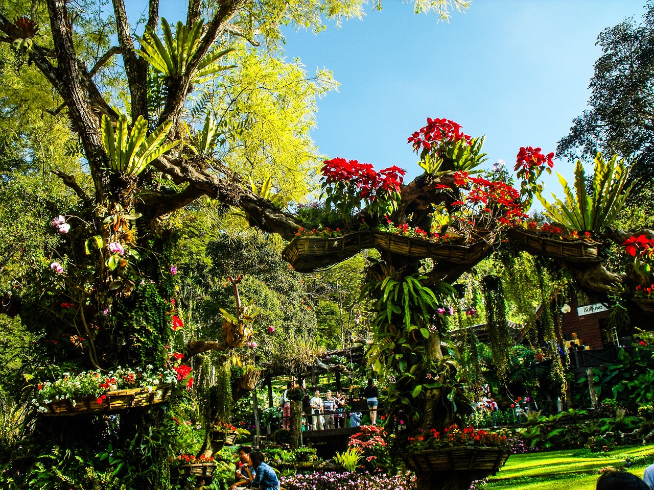 park blumenlanschaft flowers free photo