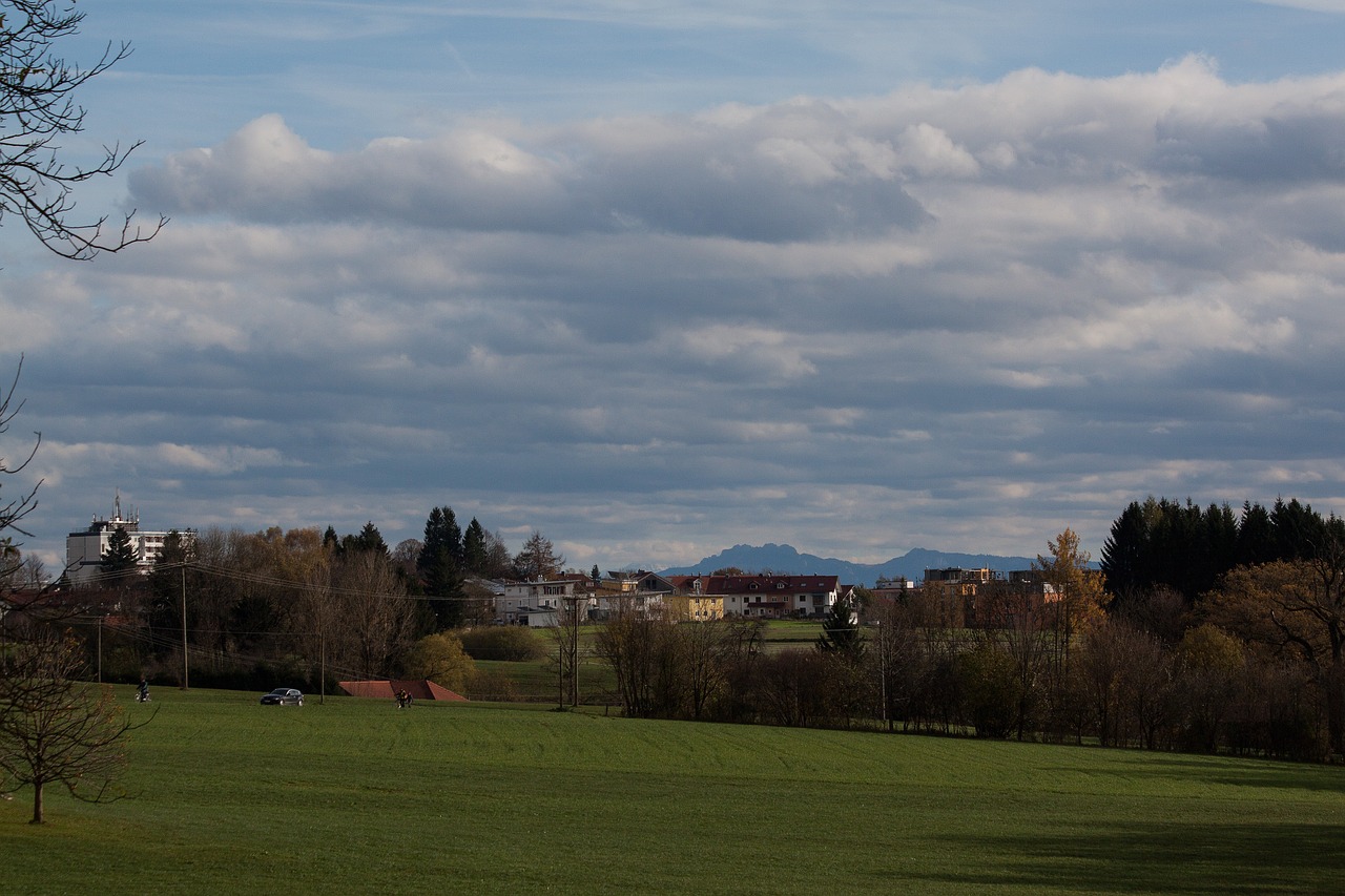 park settlement forest free photo