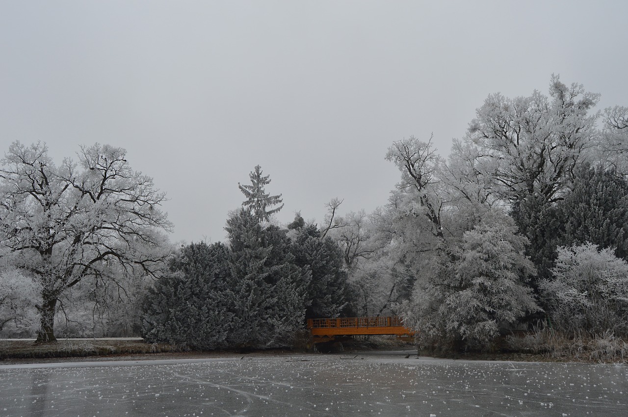 park fridge winter free photo