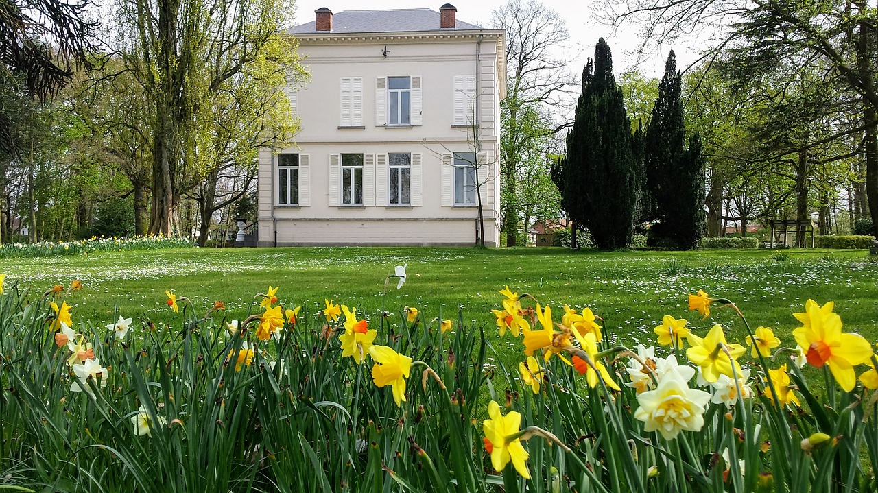 park antwerp ekeren free photo