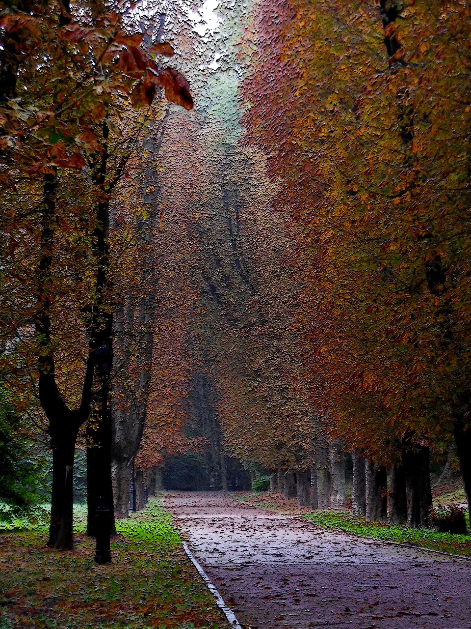 park autumn alley free photo