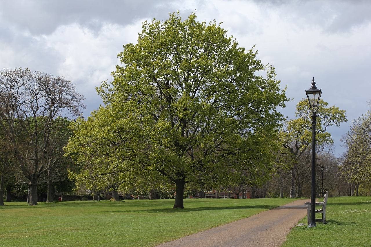 park spring bench free photo