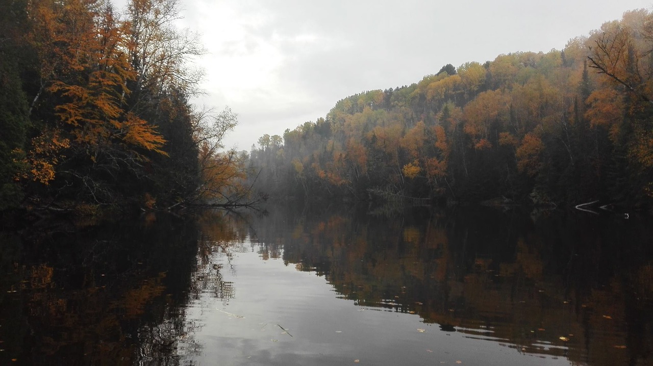 park montréal mauricie free photo