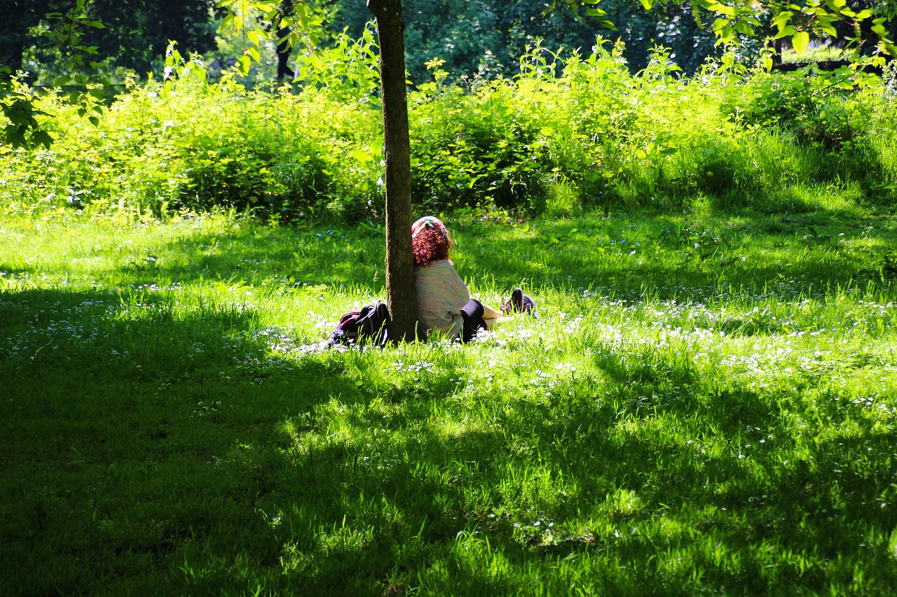 park alone green free photo