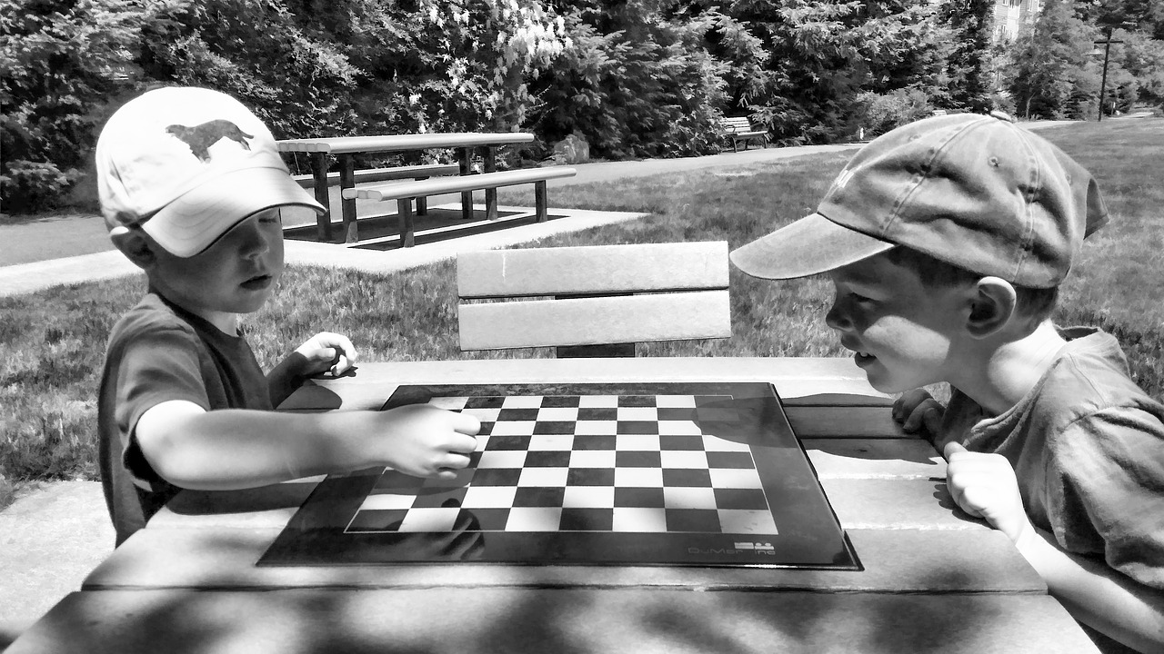 park sunny chess free photo