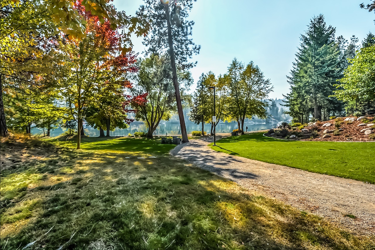 park serene river free photo