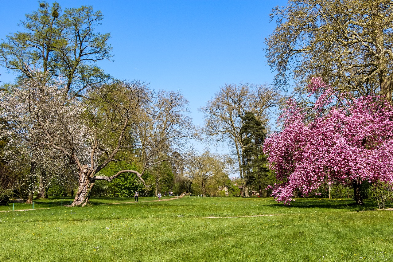 park landscape nature free photo