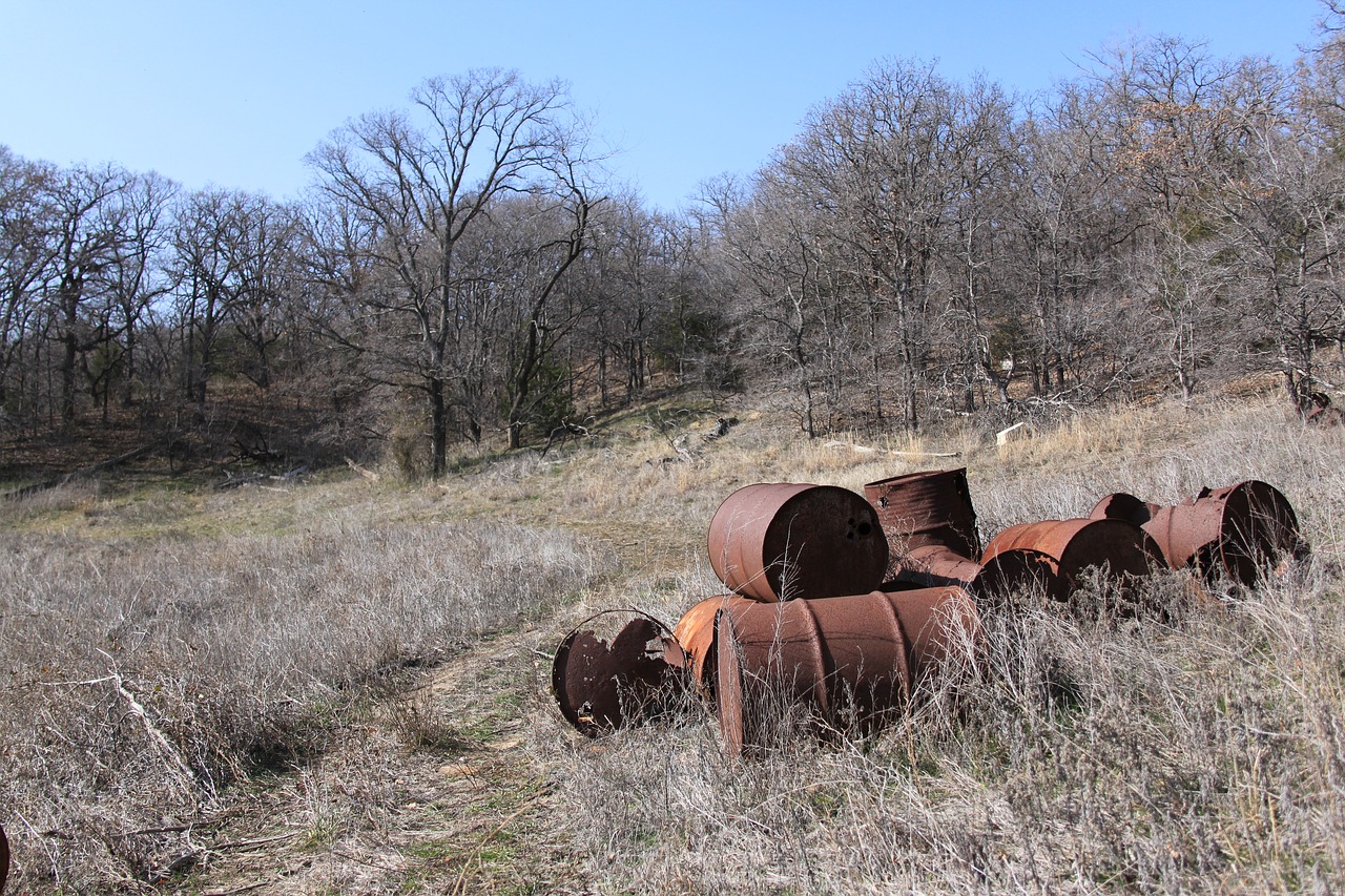 park sunny barrels free photo