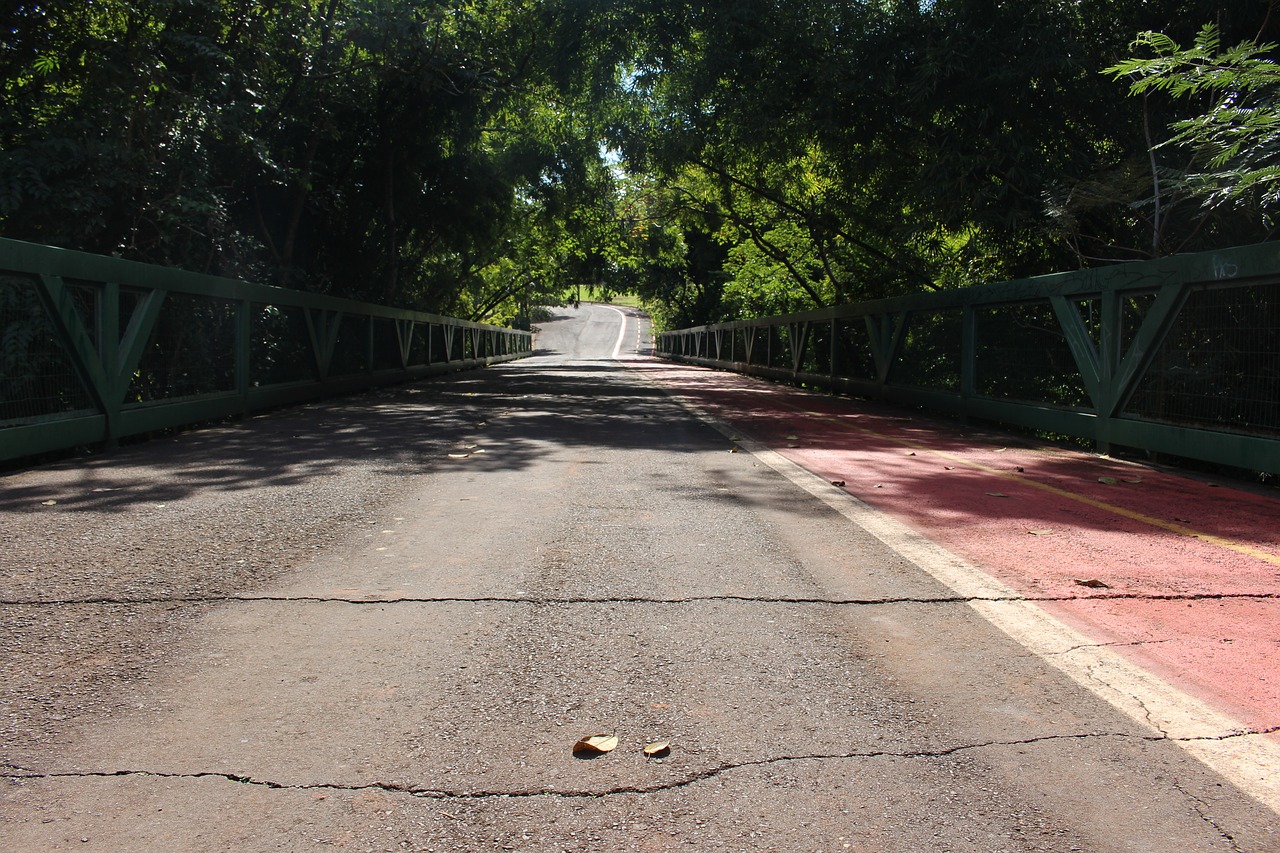 park cycling bike path free photo