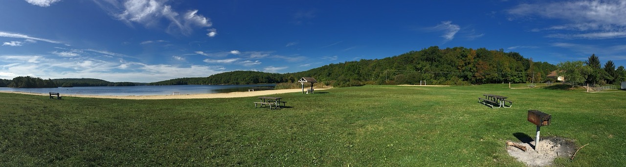 park grass lake free photo