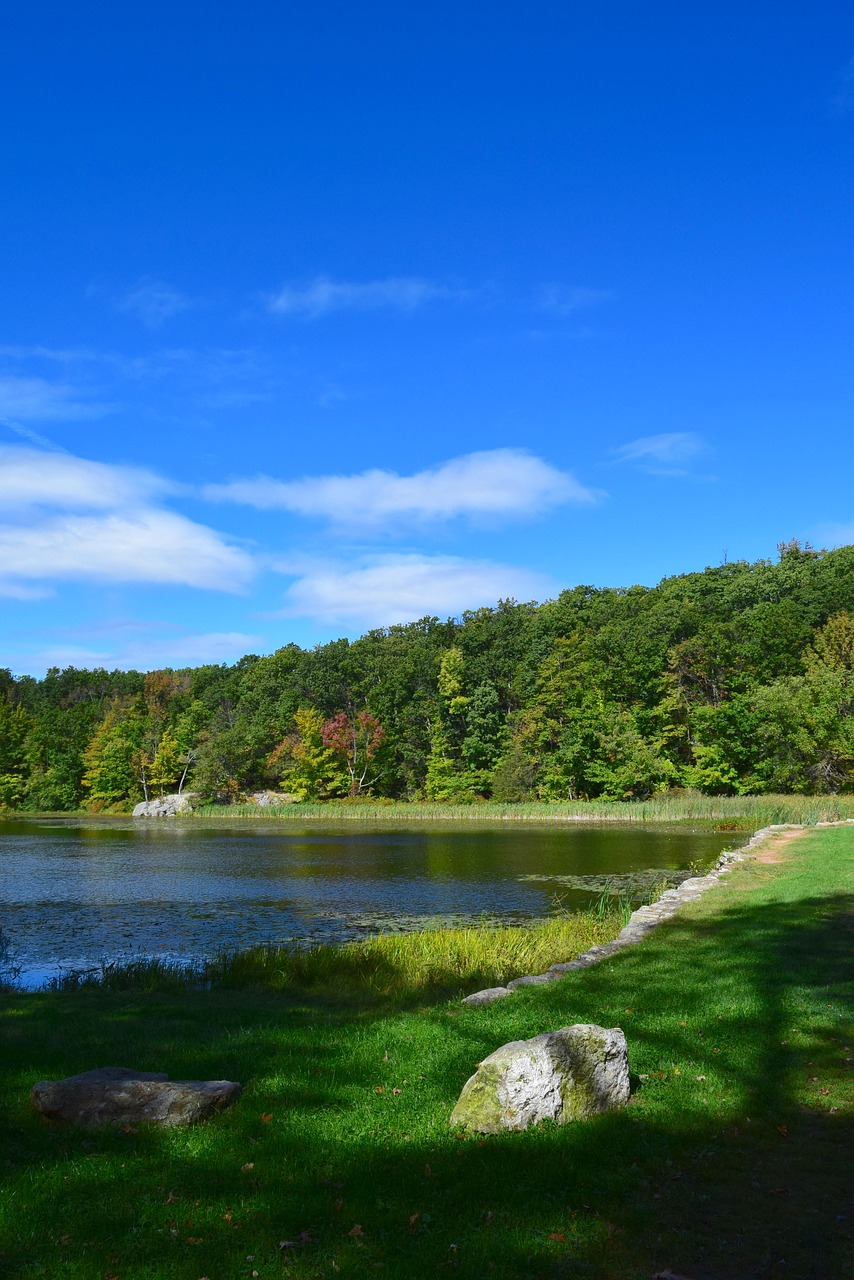 park lake water free photo