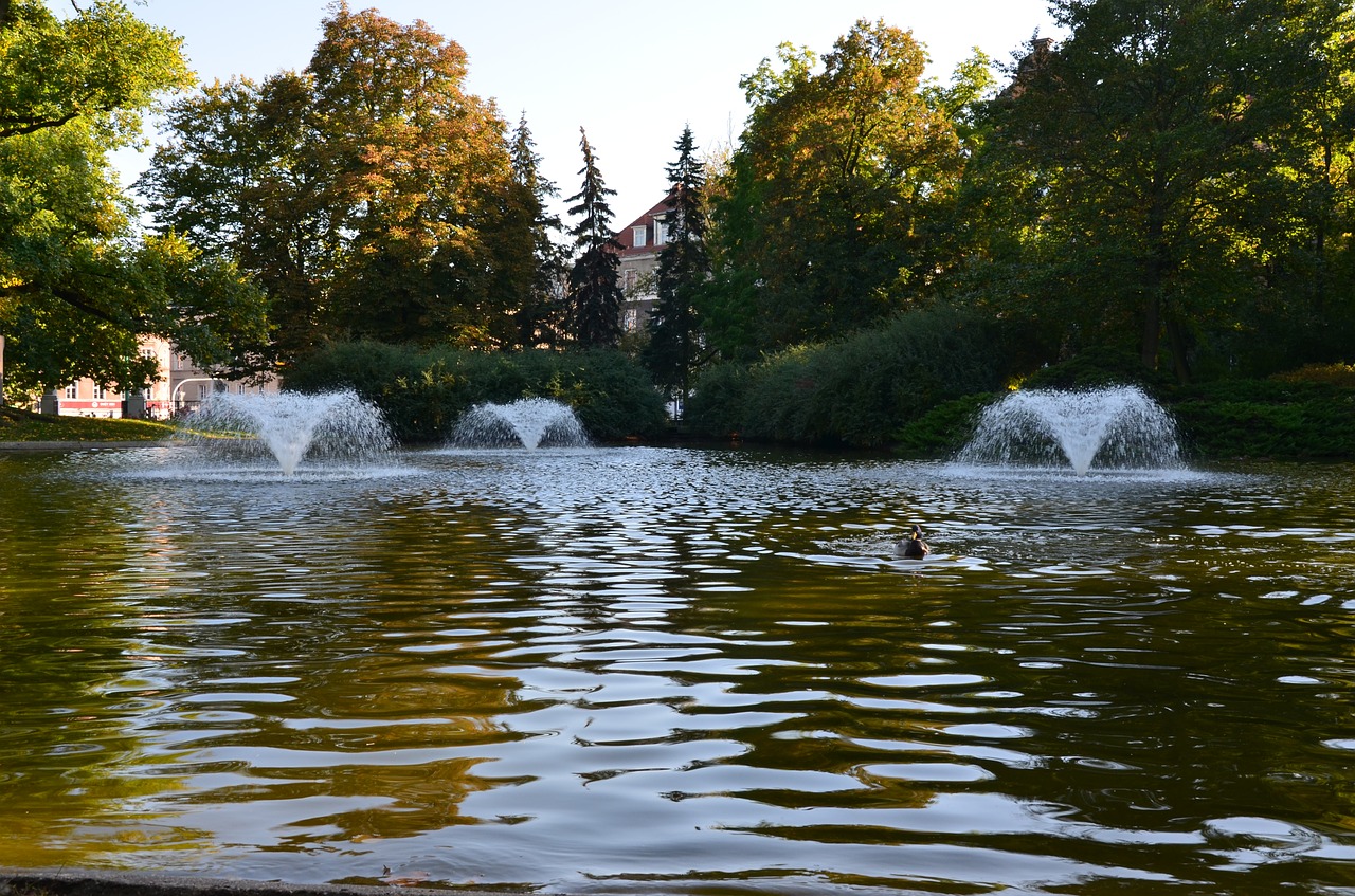 park pond fountain free photo