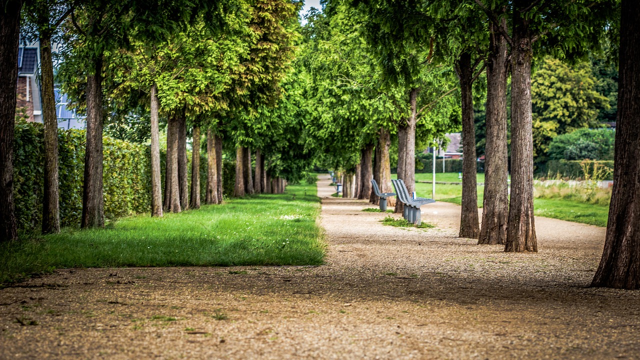 park bench outdoor free photo