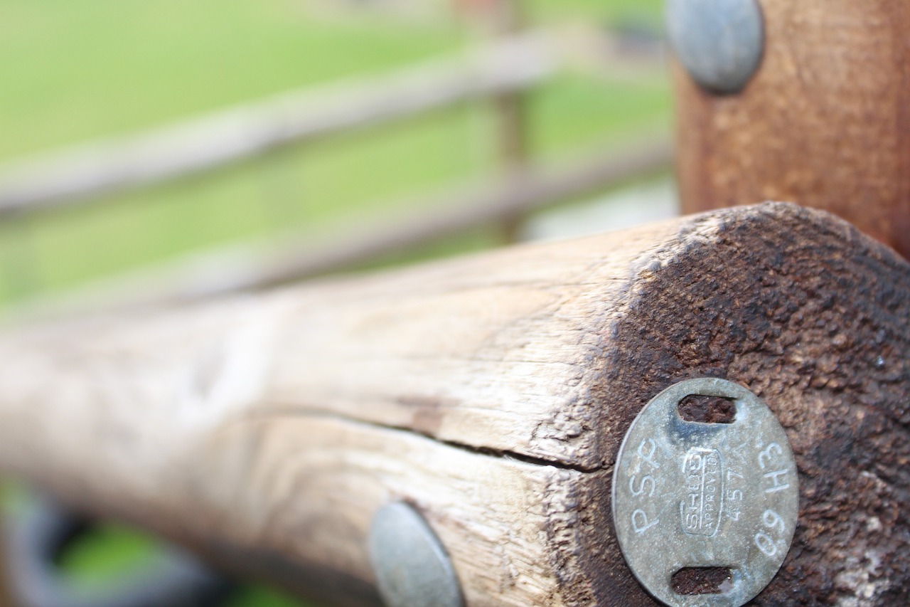 park wooden jungle gym free photo