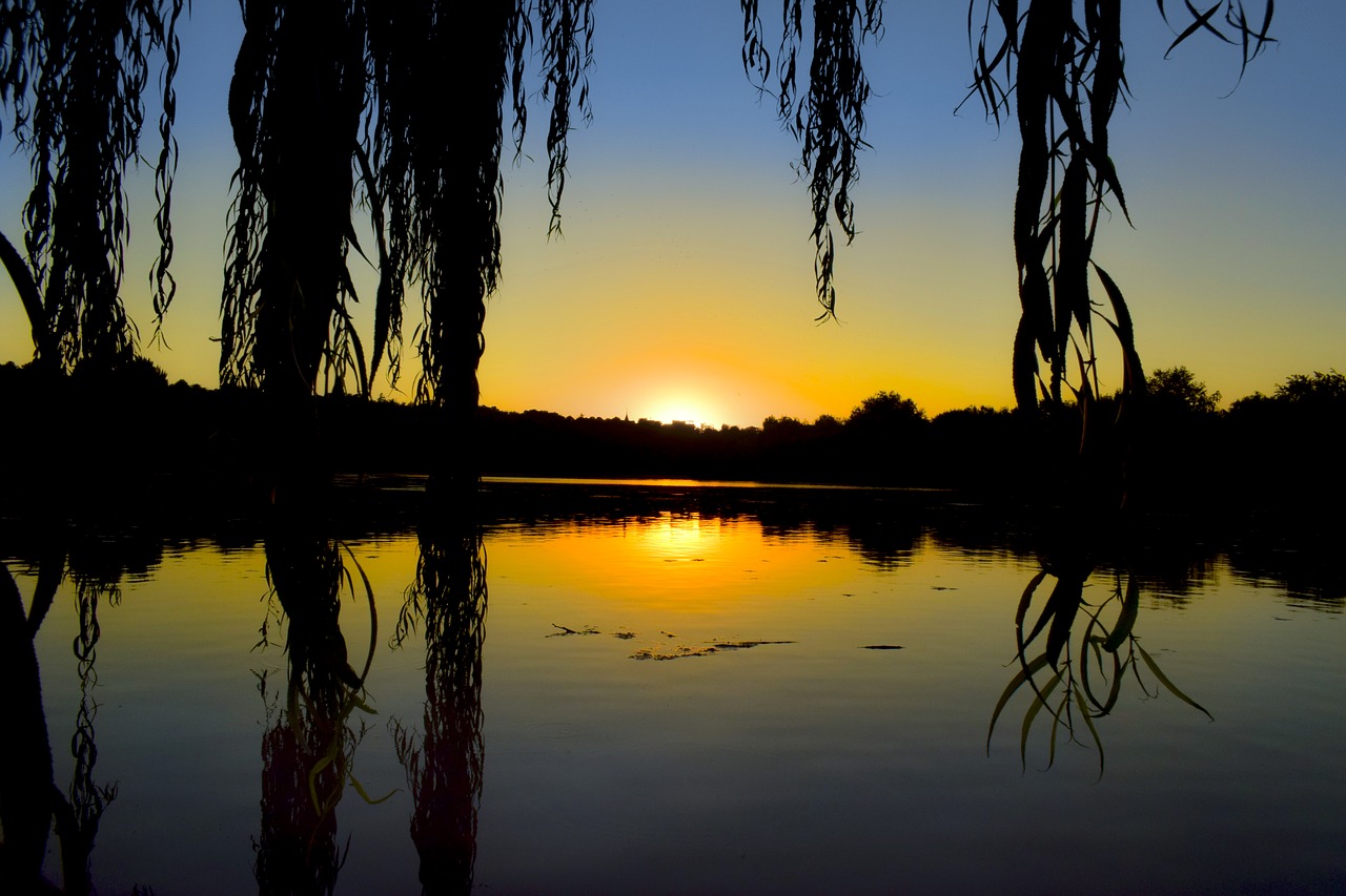 park sunset gorgeous free photo