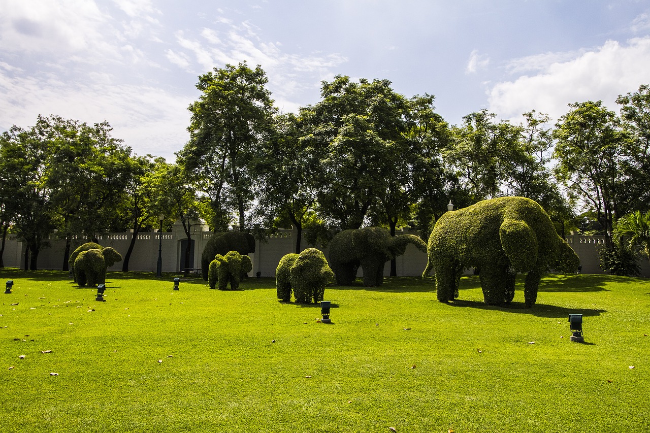 park blue sky thailand elephant free photo