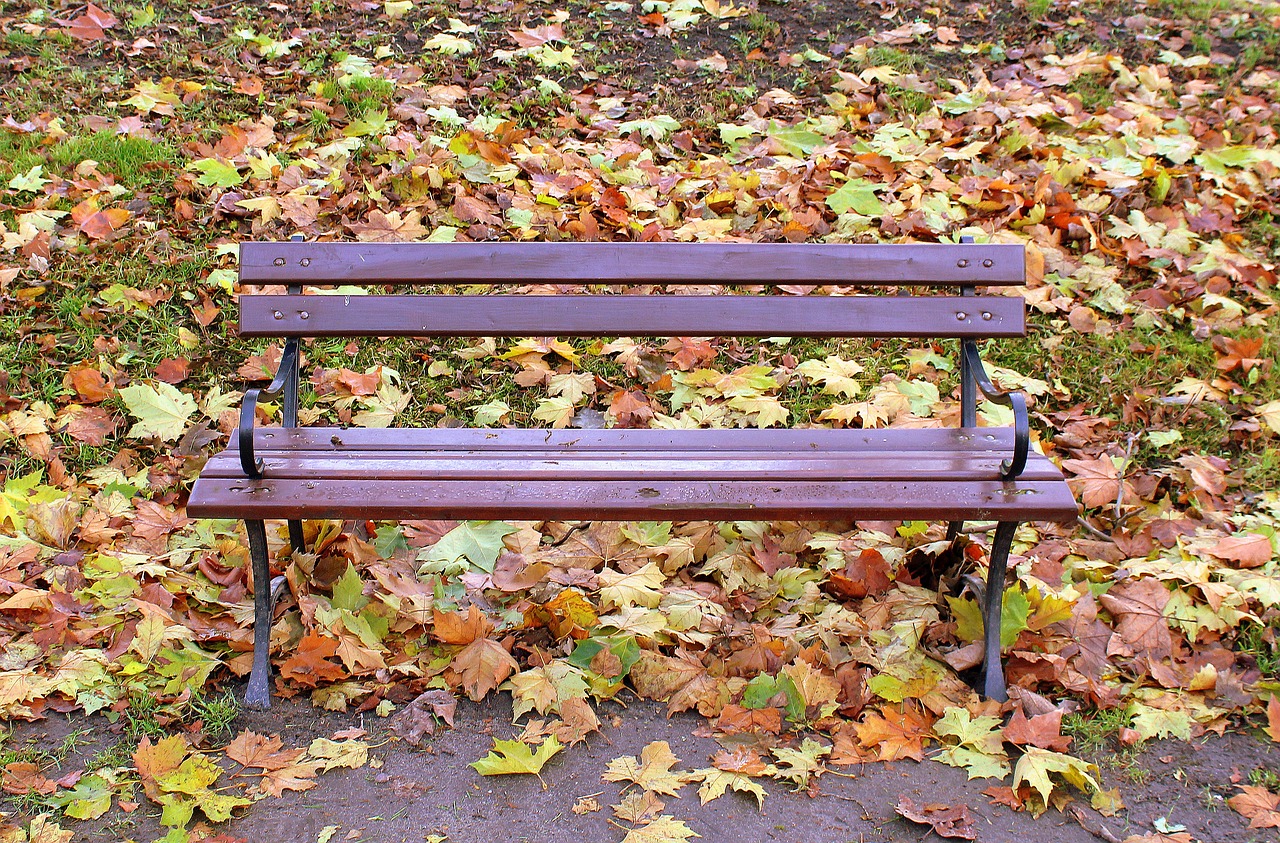 park autumn bench bench free photo