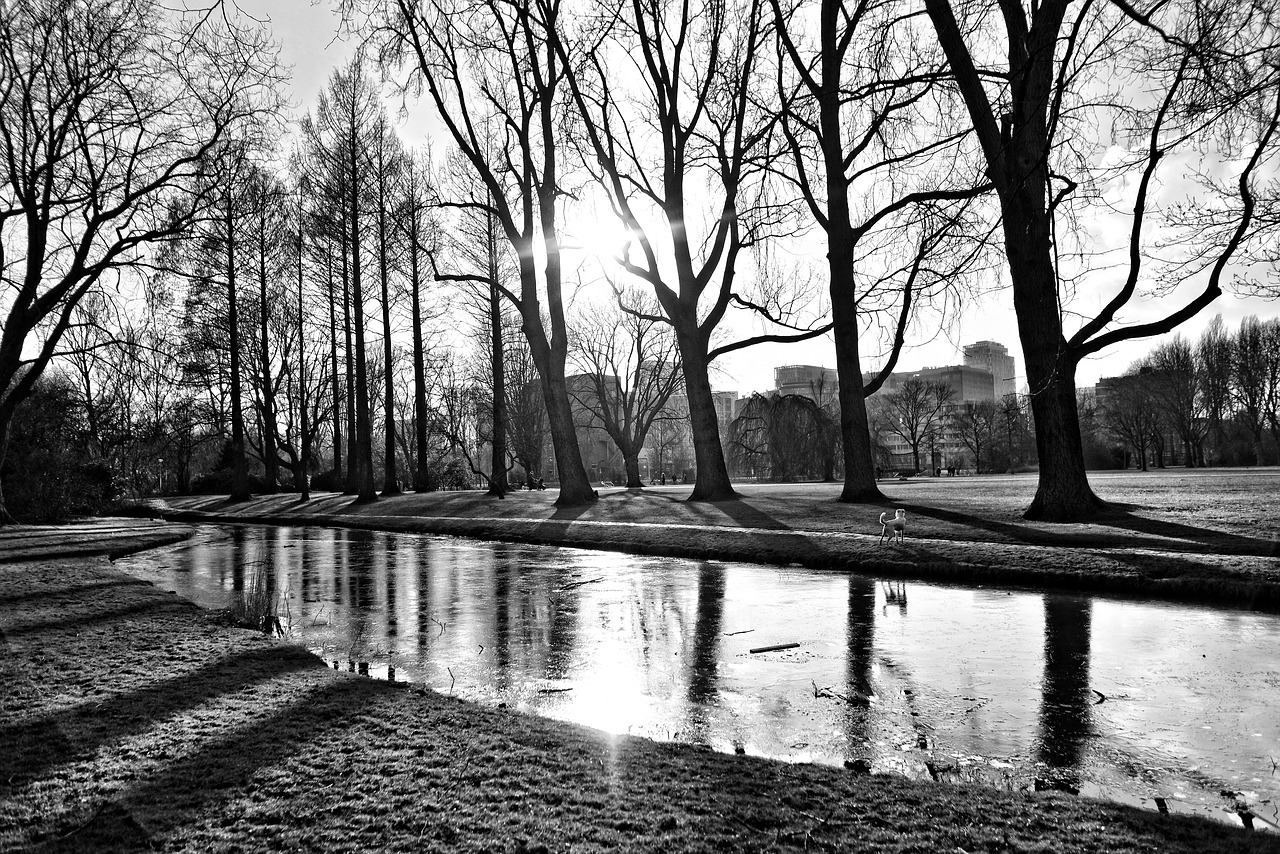 park landscape pond free photo