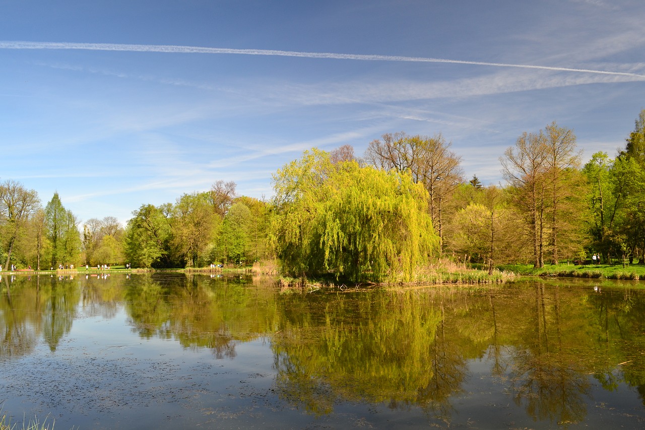 park  landscape  poland free photo