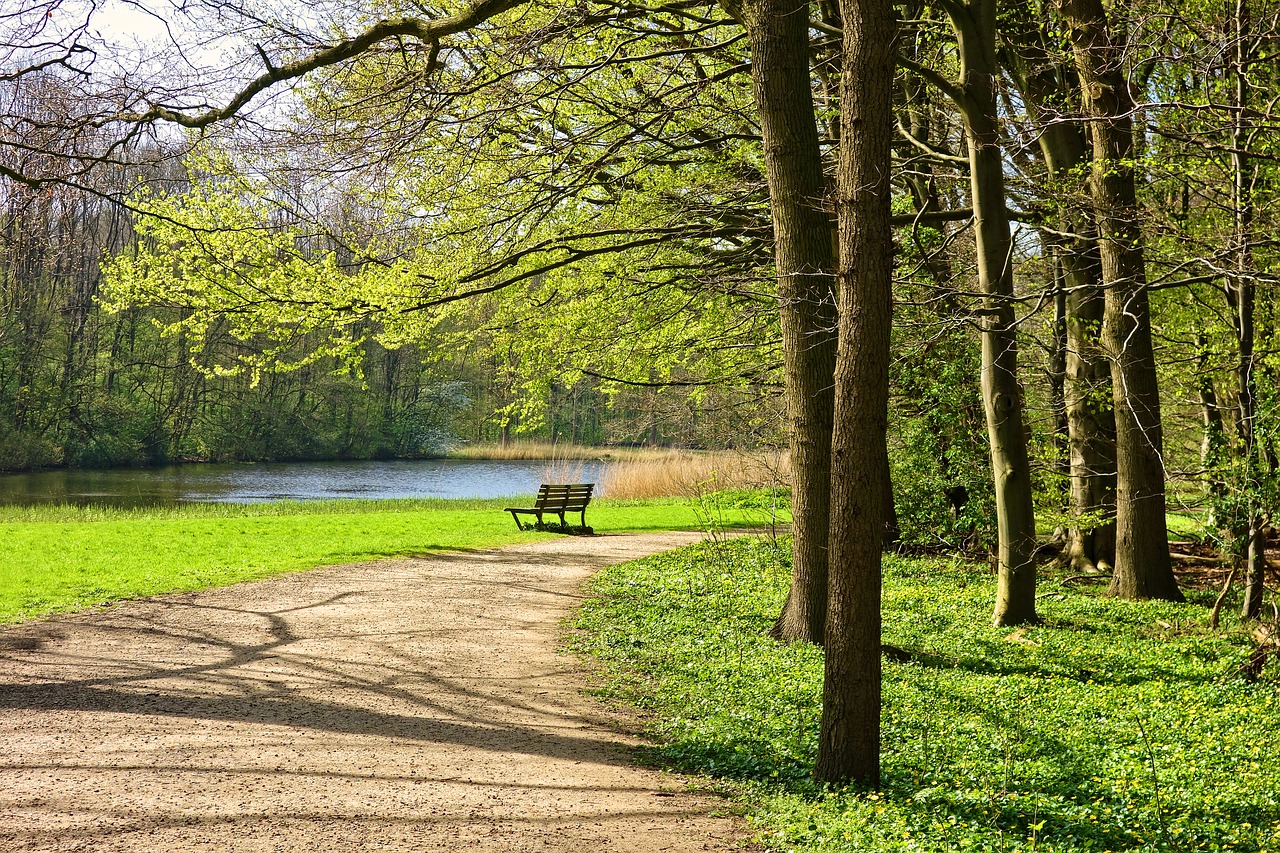 park  path  bench free photo