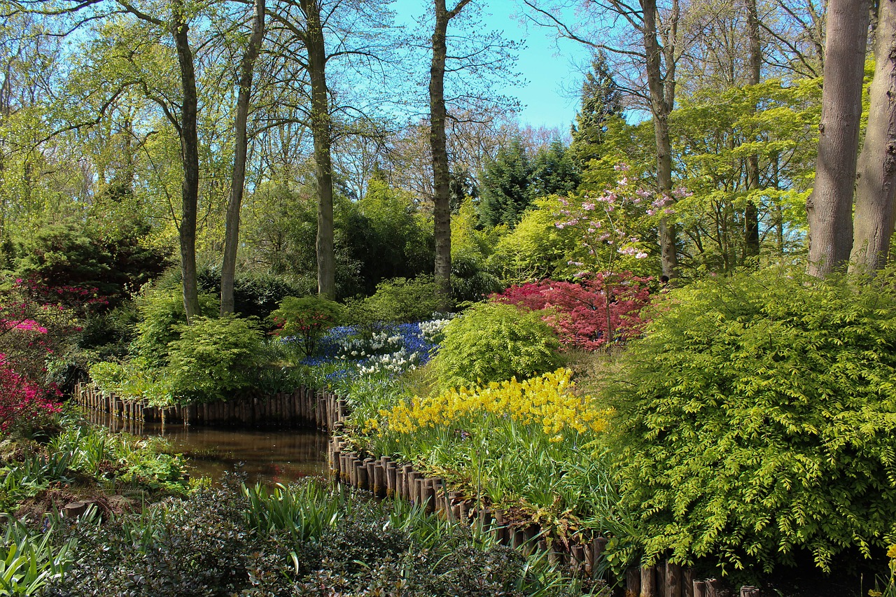 park  landscape  keukenhof free photo