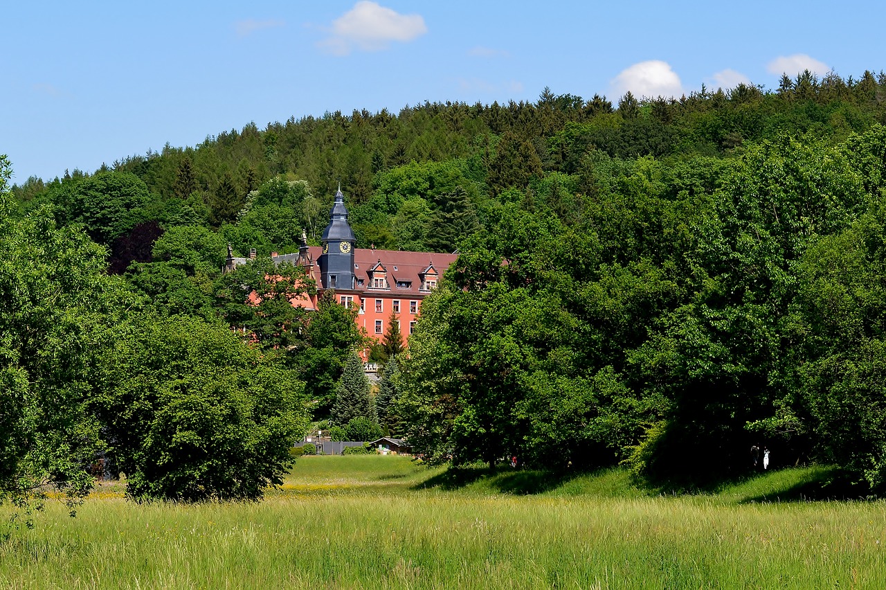 park  greiz  greizer park free photo