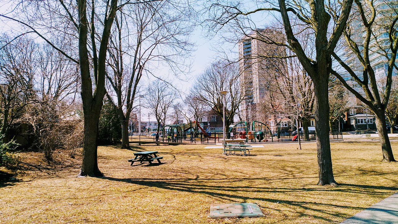 park  summer  outdoor free photo