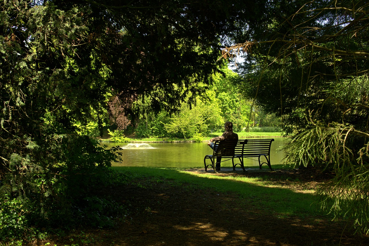 park  on the lake  green free photo