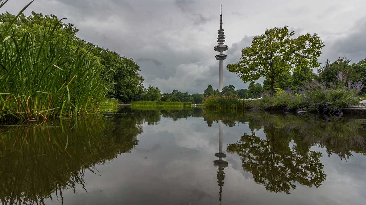 park  tv tower  architecture free photo